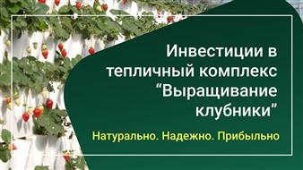 Клубника круглый год в Москву инвестируй